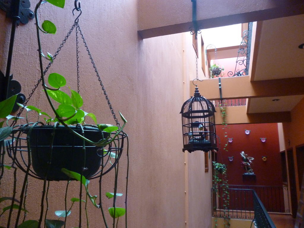 Hotel Boutique Parador San Miguel Oaxaca Dış mekan fotoğraf